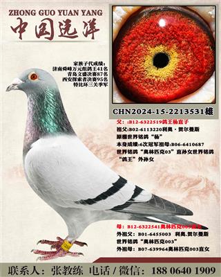 两年不出成绩包换