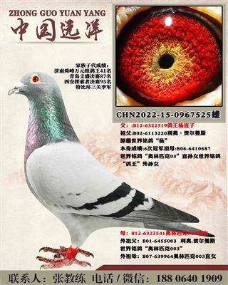 两年不出成绩包换