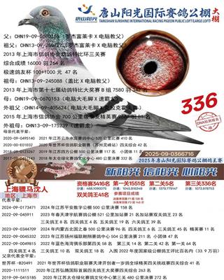 骠马6716