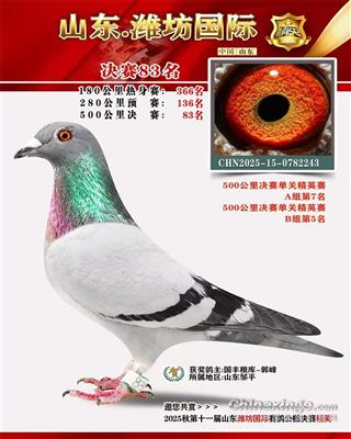 潍坊国际赛鸽公棚决赛83名