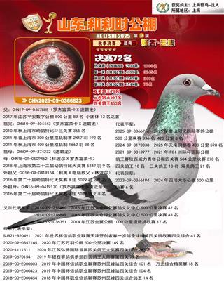 骠马6623