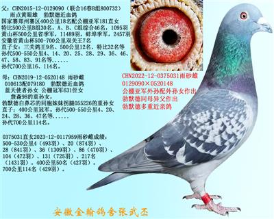 勃默德配詹森邦德007  0375031