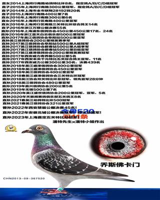 金母520