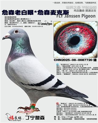 詹森老白眼*詹森麦克斯