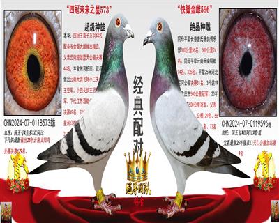 传奇国王号远亲配