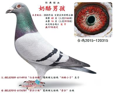 奶酪男孩