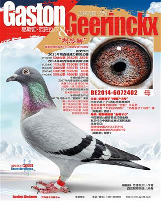 奶酪718直女柯恩娜