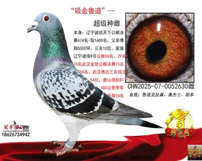 输出鲁道辽宁诚信天下674名取1600名