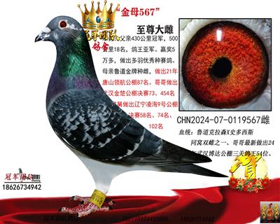 金母直女