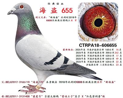 海 盗 655