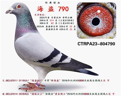 海 盗 790