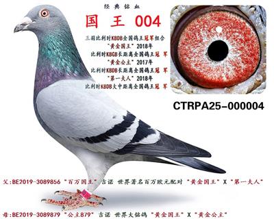国 王 004