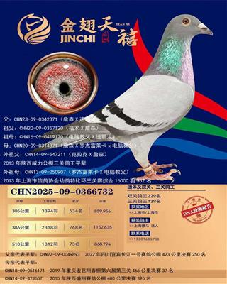 骠马6732