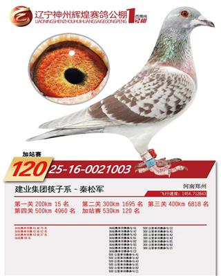 辽宁神州辉煌1号棚加战120名
