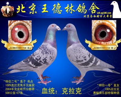 超级克拉克配对 近血