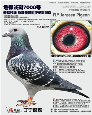 詹森蒙娜丽莎回血