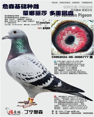 詹森蒙娜丽莎回血