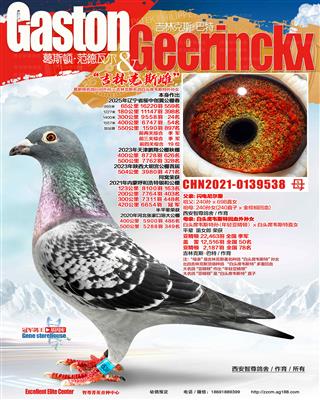 公棚400公里52名