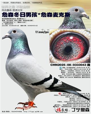 詹森冬日男孩*詹森麦克斯