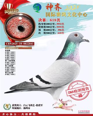 2025年山西神齐公棚618名