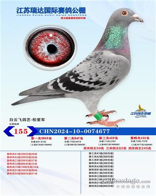 2024年江苏瑞达春棚155名