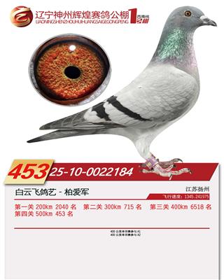 2025年辽宁神州辉煌1号公棚453名