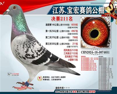 2024年江苏宝宏公棚211名