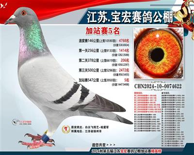 2024年江苏宝宏公棚加战赛5名