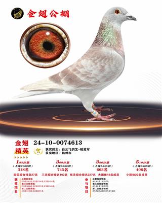 2024年山东金翅公棚406名