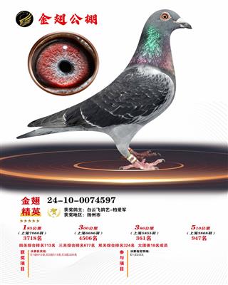 2024年山东金翅公棚947名