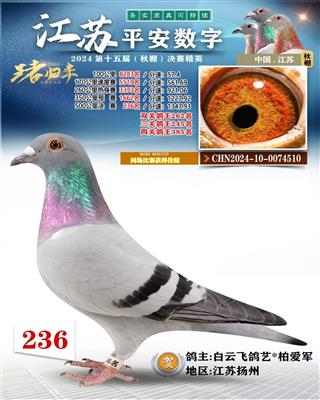 2024年江苏平安数字公棚236名