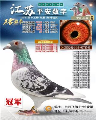 2024年江苏平安数字加战赛冠军