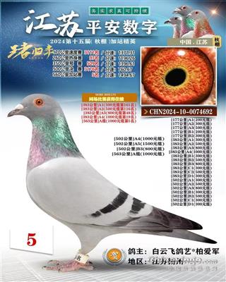 2024年江苏平安数字加战赛5名