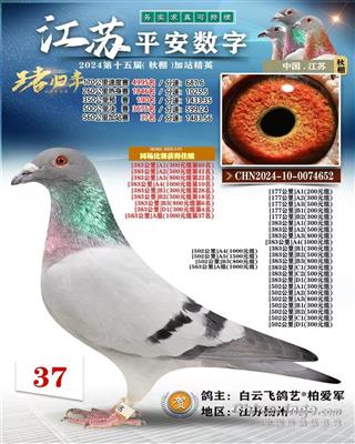 2024年江苏平安数字加战赛37名