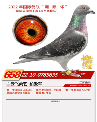 2022年辽宁神州辉煌公棚658名