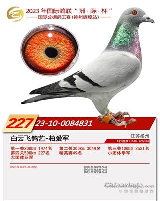 2023年辽宁神州辉煌227名