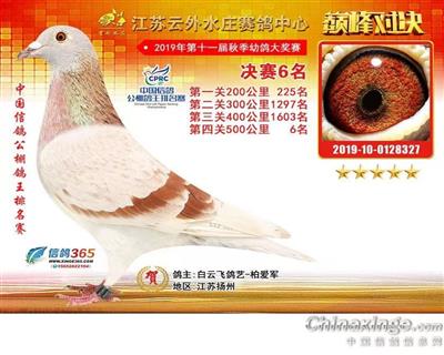 2019年江苏云外水庄公棚6名