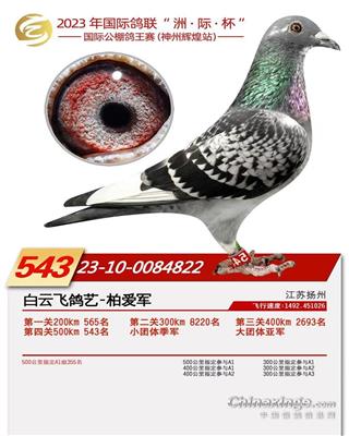 2023年辽宁神州辉煌公棚543名