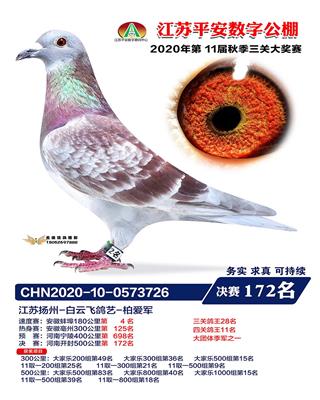 2020年江苏平安数字公棚172名