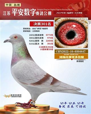 2022年江苏平安数字公棚301名