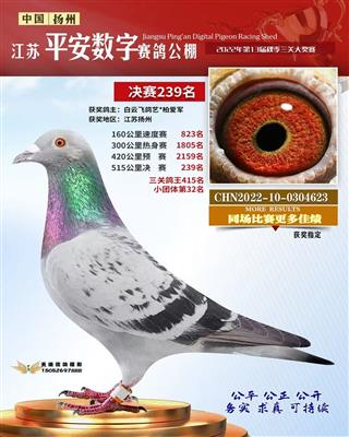 2022年江苏平安数字公棚239名