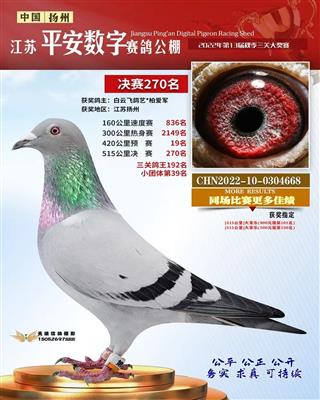 2022年江苏平安数字公棚270名