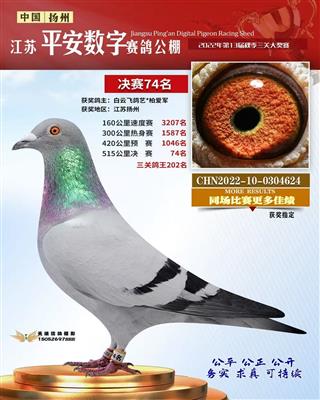 2022年江苏平安数字公棚74名