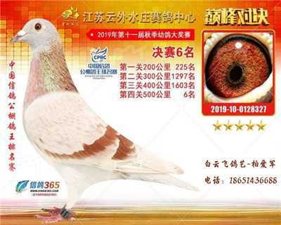 红色王朝家族1号