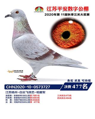 红色王朝家族2号