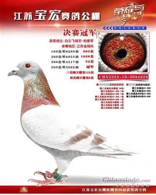 红色王朝家族9号