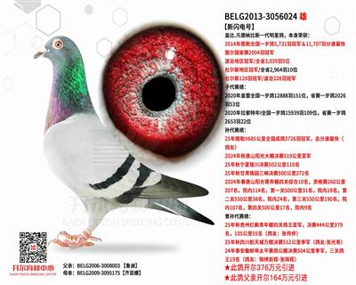 【新闪电号】图勒全国冠军