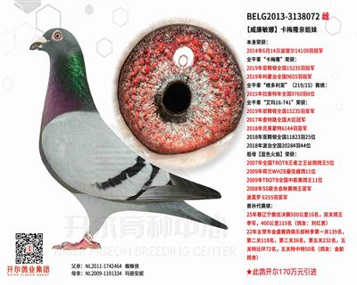 【威廉敏娜】卡梅隆亲姐妹