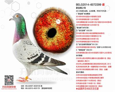 【新金姆】之母
