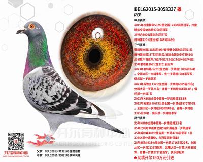 【内罗】拉索特年全国冠军